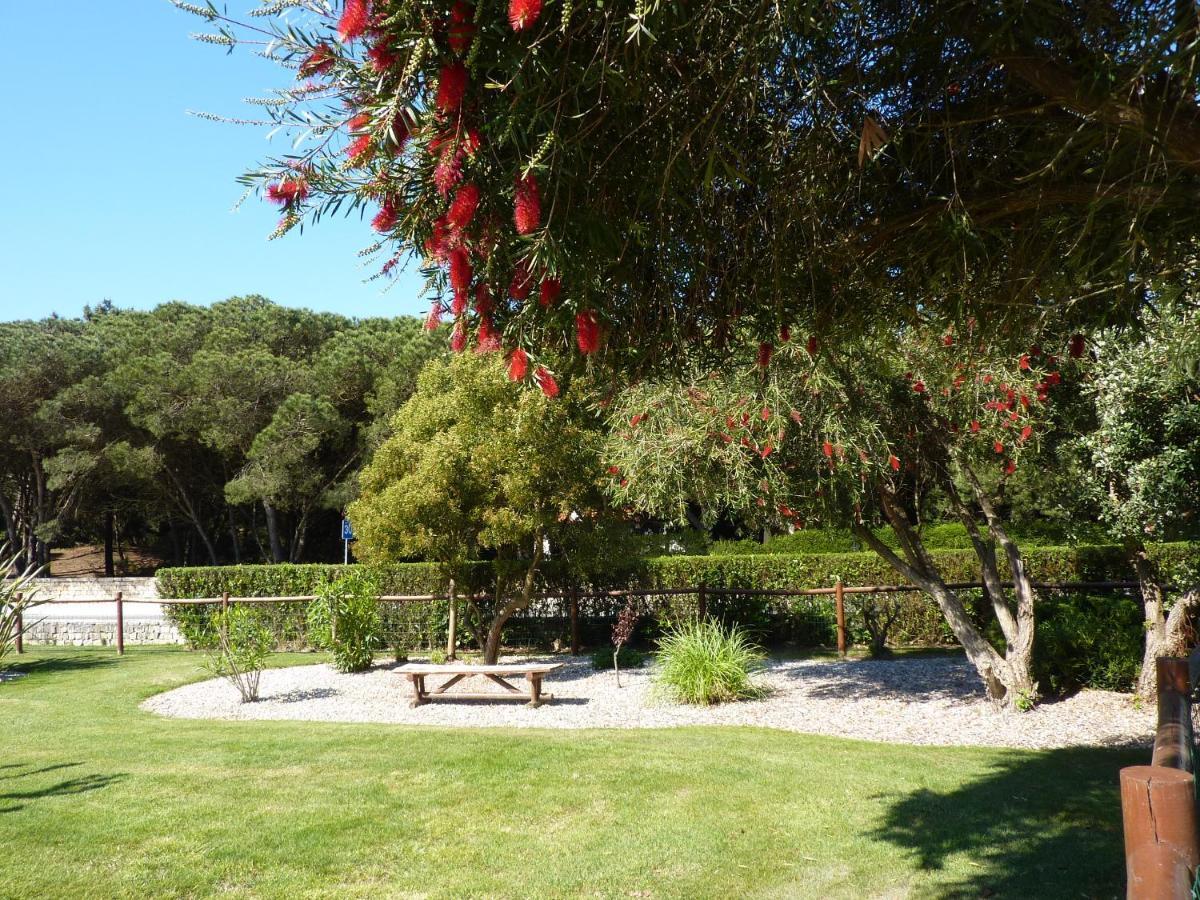 Apartamento Moura - Praia D'El Rey Golf, Surf & Beach Resort 普拉亚德尔瑞伊 外观 照片
